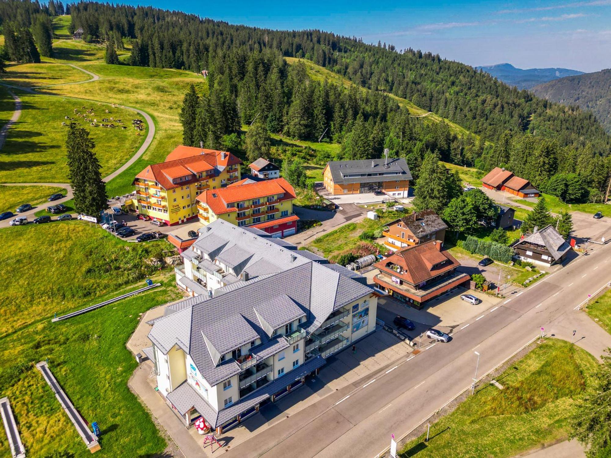 Apartament Feldberg Domizil - Residenz Grafenmatt Rinken Zewnętrze zdjęcie